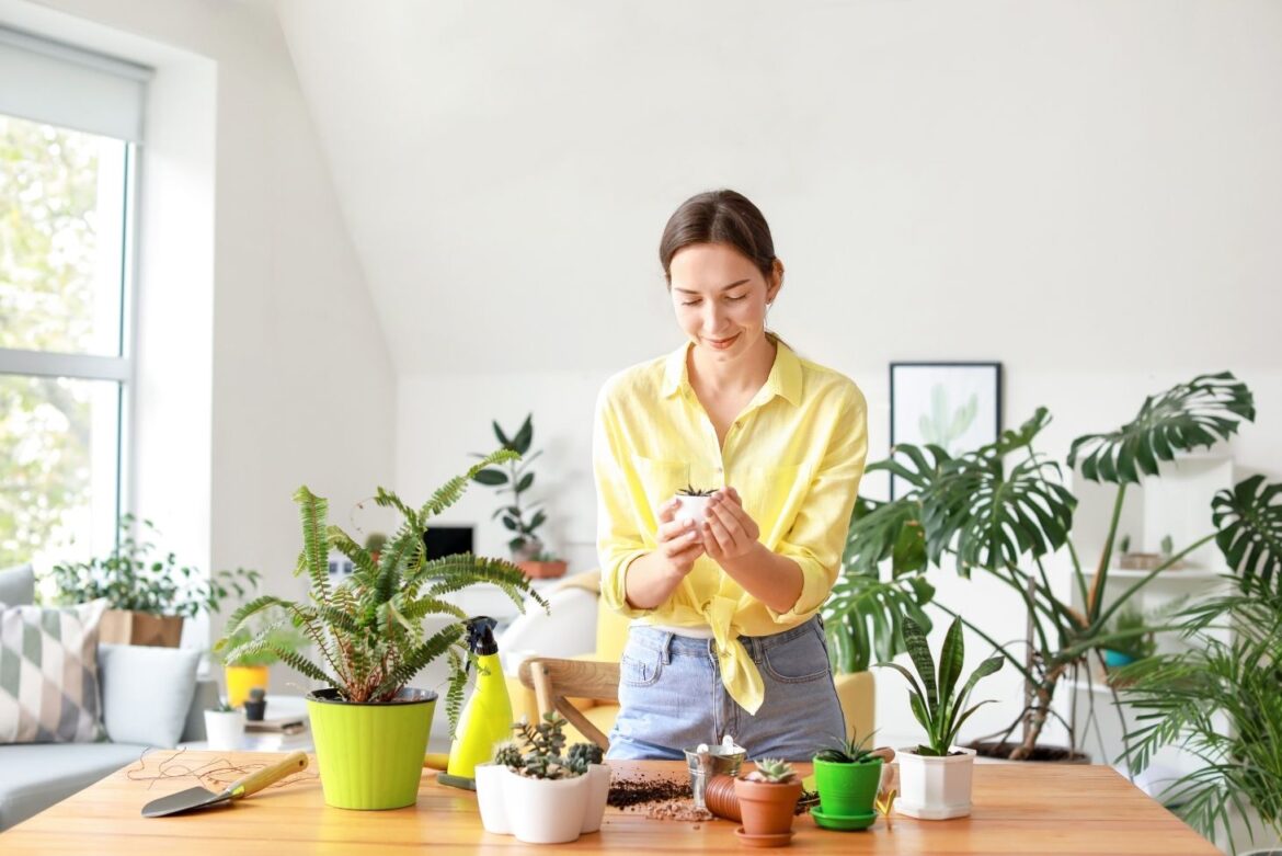 7 Natural Ways to Get Rid of Houseplant Pests and Diseases - 9Pedia.com