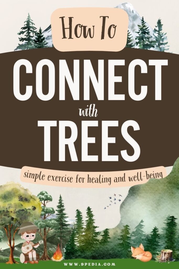 How to Connect with Trees - 9Pedia.com