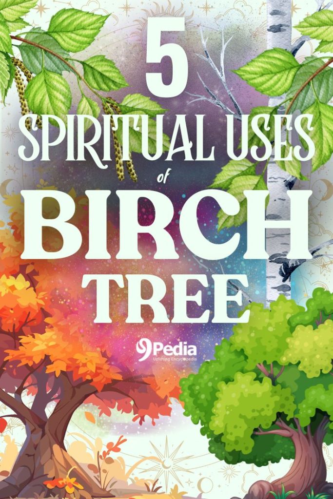 9 Spiritual Uses of Birch Tree - Birch Tree Spiritual - 9Pedia.com