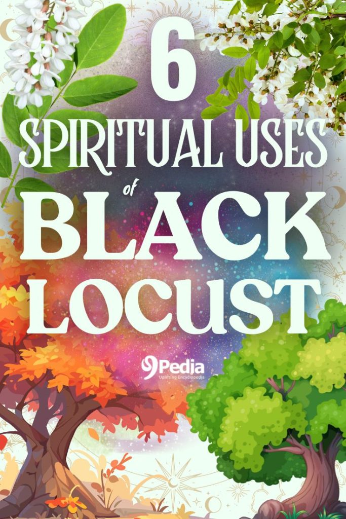 9 Spiritual Uses of Black Locust Tree - Black Locust Tree Spiritual - 9Pedia.com