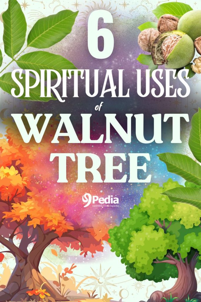 9 Spiritual Uses of Walnut Tree - Walnut Tree Spiritual - 9Pedia.com