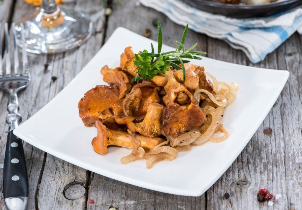 5 Most Delicious Edible Mushrooms You Can Forage Yourself - 9Pedia.com