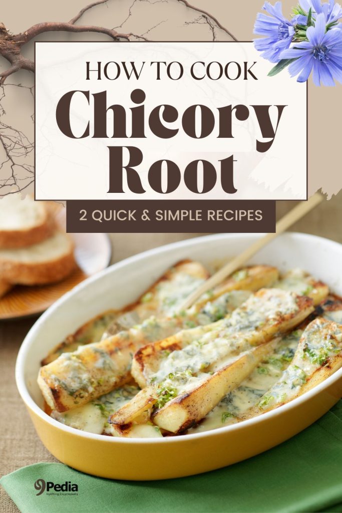 How to Cook Chicory Root – 2 Savory Chicory Root Recipes - 9Pedia.com
