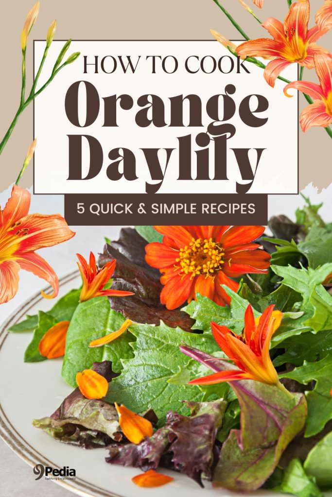 How to Cook Orange-Day Lily- 5 Delish Orange-Day Lily Recipes - 9Pedia.com