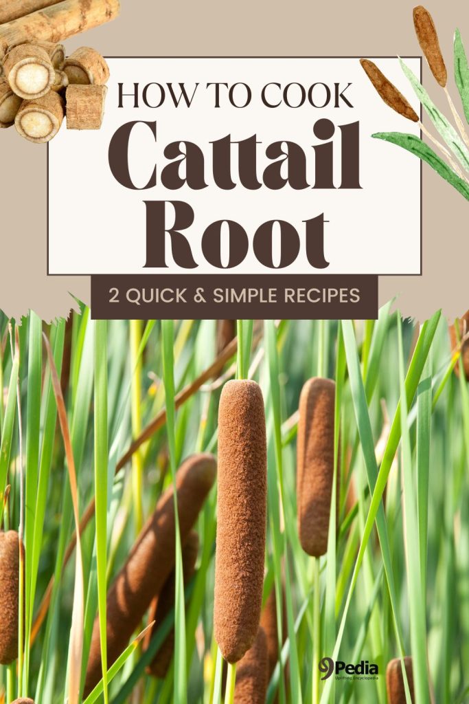 How to Cook Cattail Root - Cattail Recipes - 9Pedia.com
