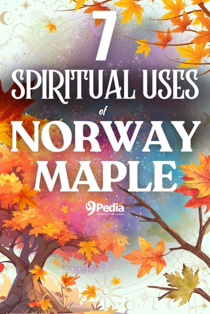 7 Spiritual Uses of Norway Maple You Didn't Know - Norway Maple Magical Uses - 9Pedia.com