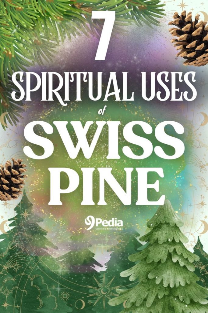 7 Spiritual Uses of Swiss Pine You Didn't Know - Swiss Pine Magical Uses - 9Pedia.com