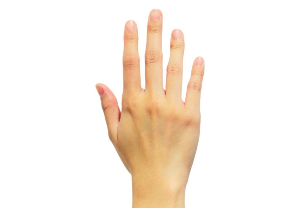 Water Fingers (Oval Tip Fingers) - What the Shape of Your Fingers Says About Your Personality – The Japanese Finger Test - 9Pedia.com