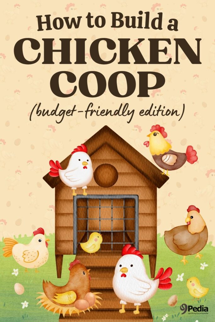How to Build a Chicken Coop on a Budget (Beginner-Friendly DIY Guide) - Things You Need to Start Living Off The Grid - 9Pedia.com