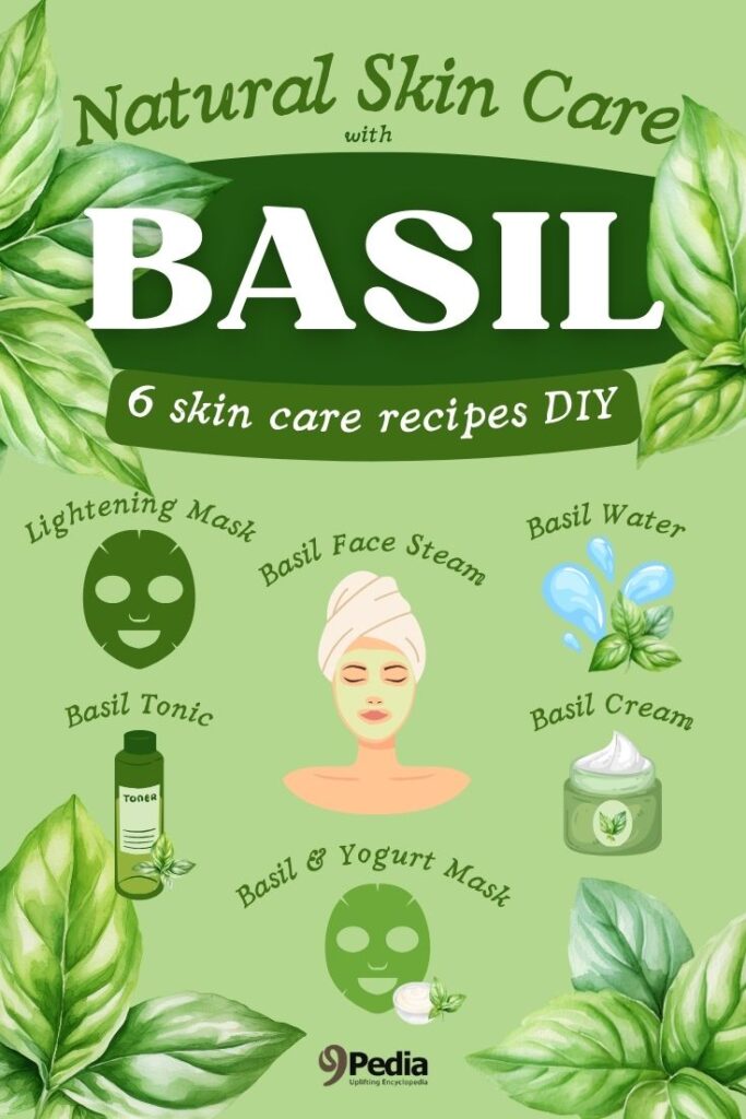 6 DIY Basil Skin Care Recipes - Basil Face Cream - 9Pedia.com