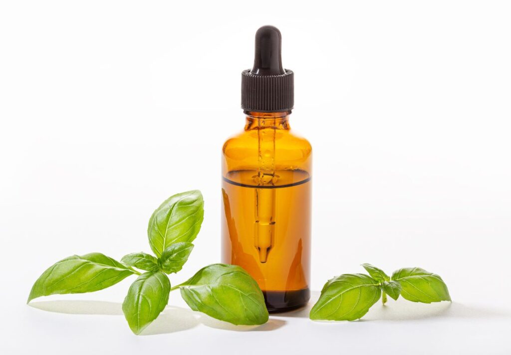 6 DIY Basil Skin Care Recipes for Acne, Glow & Anti-Aging