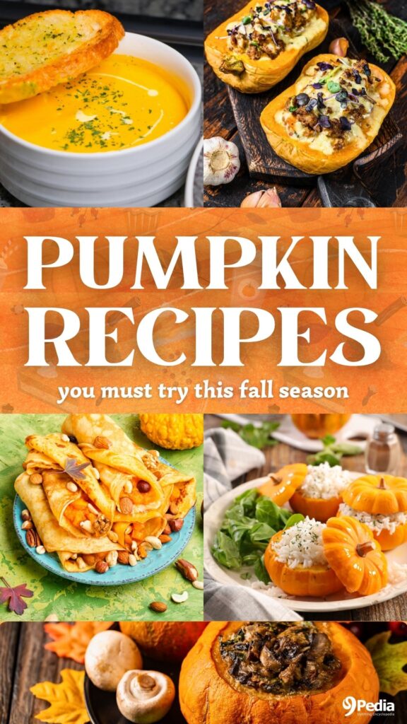9 Delicious Savory Pumpkin Recipes You Will Absolutely Love - 9Pedia.com